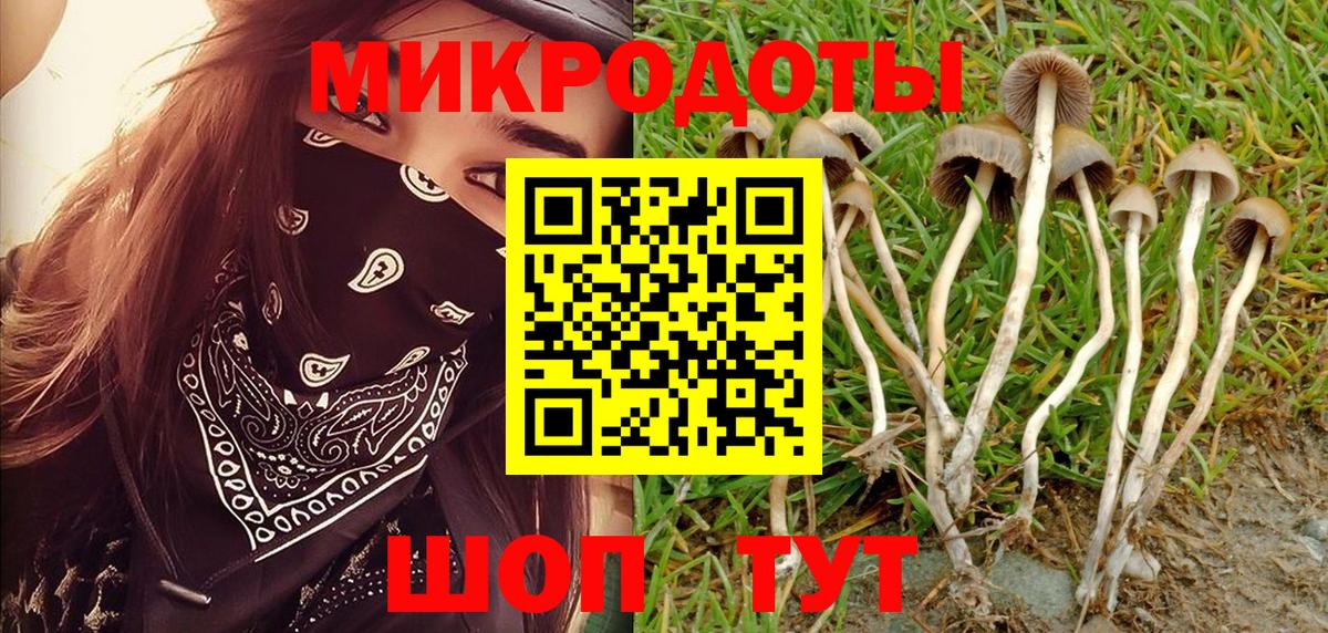 Галлюциногенные грибы ЛСД  Вход с VPN  Галлюциногенные грибы прущие грибы  Азнакаево 